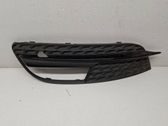 Front fog light trim/grill