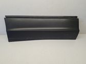 Rear door trim (molding)