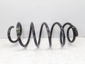 Front coil spring