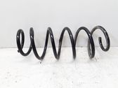 Front coil spring