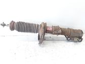 Front shock absorber/damper