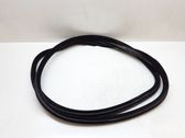 Front door rubber seal