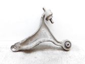 Front lower control arm/wishbone