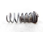 Rear coil spring