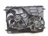 Electric radiator cooling fan