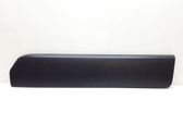 Rear door trim (molding)