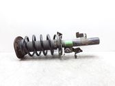 Front shock absorber with coil spring