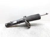 Front shock absorber/damper