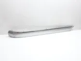 Rear bumper trim bar molding