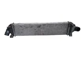 Radiatore intercooler