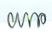 Front coil spring