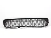 Front bumper lower grill