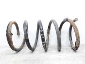 Rear coil spring