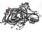 Engine installation wiring loom