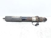 Stoßdämpfer hinten
