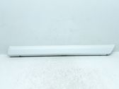 Rear door trim (molding)