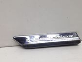 Fender trim (molding)