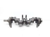 Vilebrequin du moteur