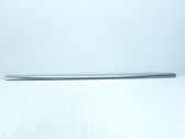 Rear door glass trim molding