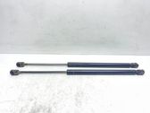 Stoßdämpfer hinten