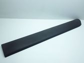 Front door trim (molding)