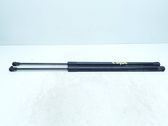 Tailgate/trunk strut/damper