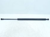 Tailgate/trunk strut/damper
