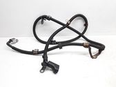 Negative earth cable (battery)