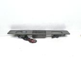 Trunk door license plate light bar
