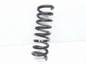 Muelle espiral trasero