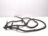 Positive cable (battery)