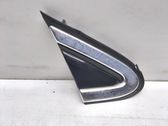 Fender trim (molding)