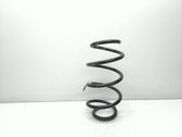 Front coil spring