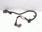 Positive cable (battery)
