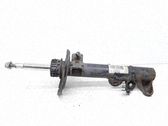 Front shock absorber/damper