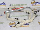 Airbag del techo