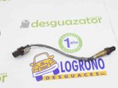 Lambdasonde Regelsonde
