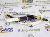 Roof airbag