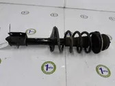 Front shock absorber/damper