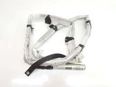 Airbag del techo