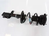 Front shock absorber/damper