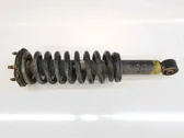 Front shock absorber/damper