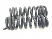 Muelle espiral trasero