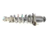 Rear shock absorber with coil spring