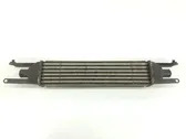 Radiatore intercooler