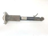 Rear shock absorber/damper