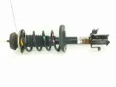 Front shock absorber/damper