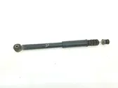 Rear shock absorber with coil spring