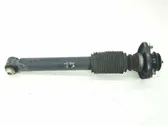 Rear shock absorber with coil spring