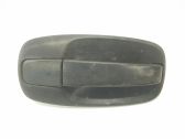 Manecilla externa puerta delantera